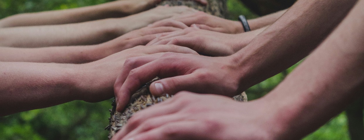 header-image